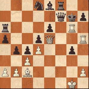 Game position after 28.Rxg6#