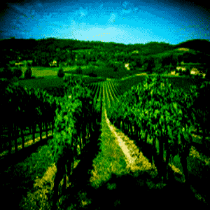 Pierre Saint Amant was born into a wealthy family of wine merchants